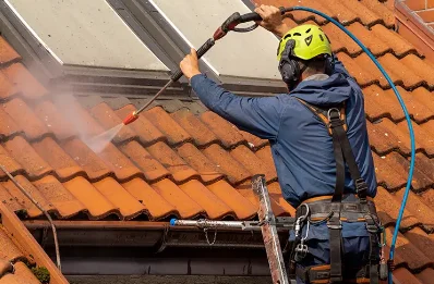 Démoussage et hydrofuge de toiture à Riespach